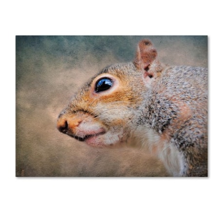Jai Johnson 'Gray Squirrel Portrait' Canvas Art,35x47